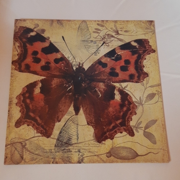 Tin Butterfly - Picture 1 of 1
